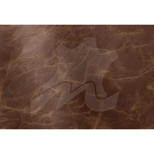 Aligo Group фото